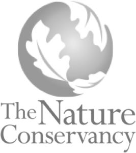 Logo of The Nature Conservancy